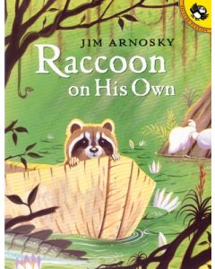 Raccoon on His Own